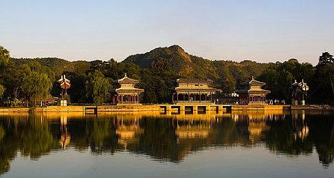 幻兽帕鲁最强陆地坐骑云海鹿捕捉攻略，让你体验飞一般的感觉