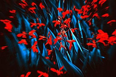 《暗黑4》Steam评价好转 现已是“多半好评”